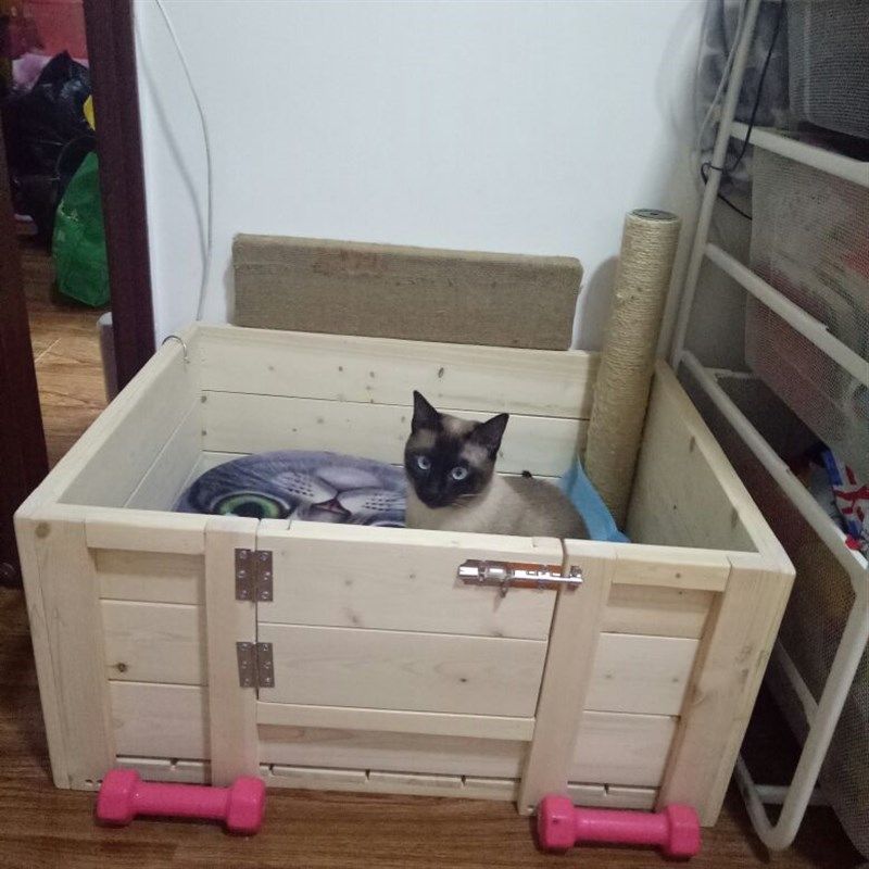 狗狗生产窝房猫咪产房夏季繁殖生产窝孕狗大型产箱纯实木可订制
