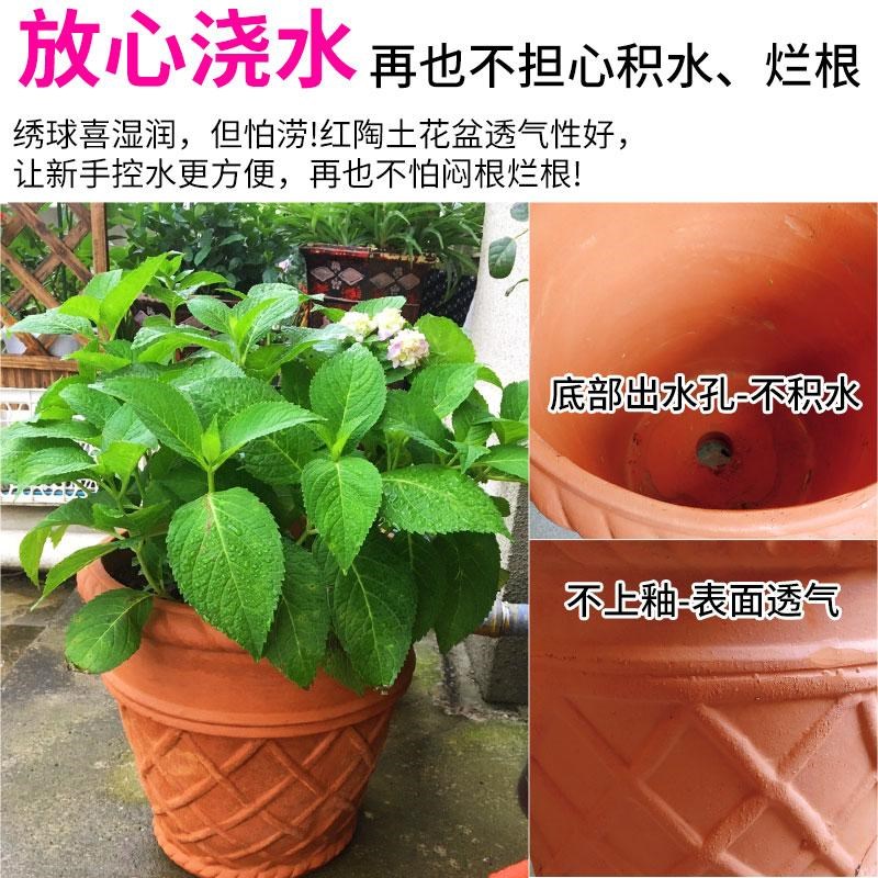 绣球花盆大号粗陶陶罐花瓶花盆别墅庭院种树粗陶复古陶土陶瓷欧式