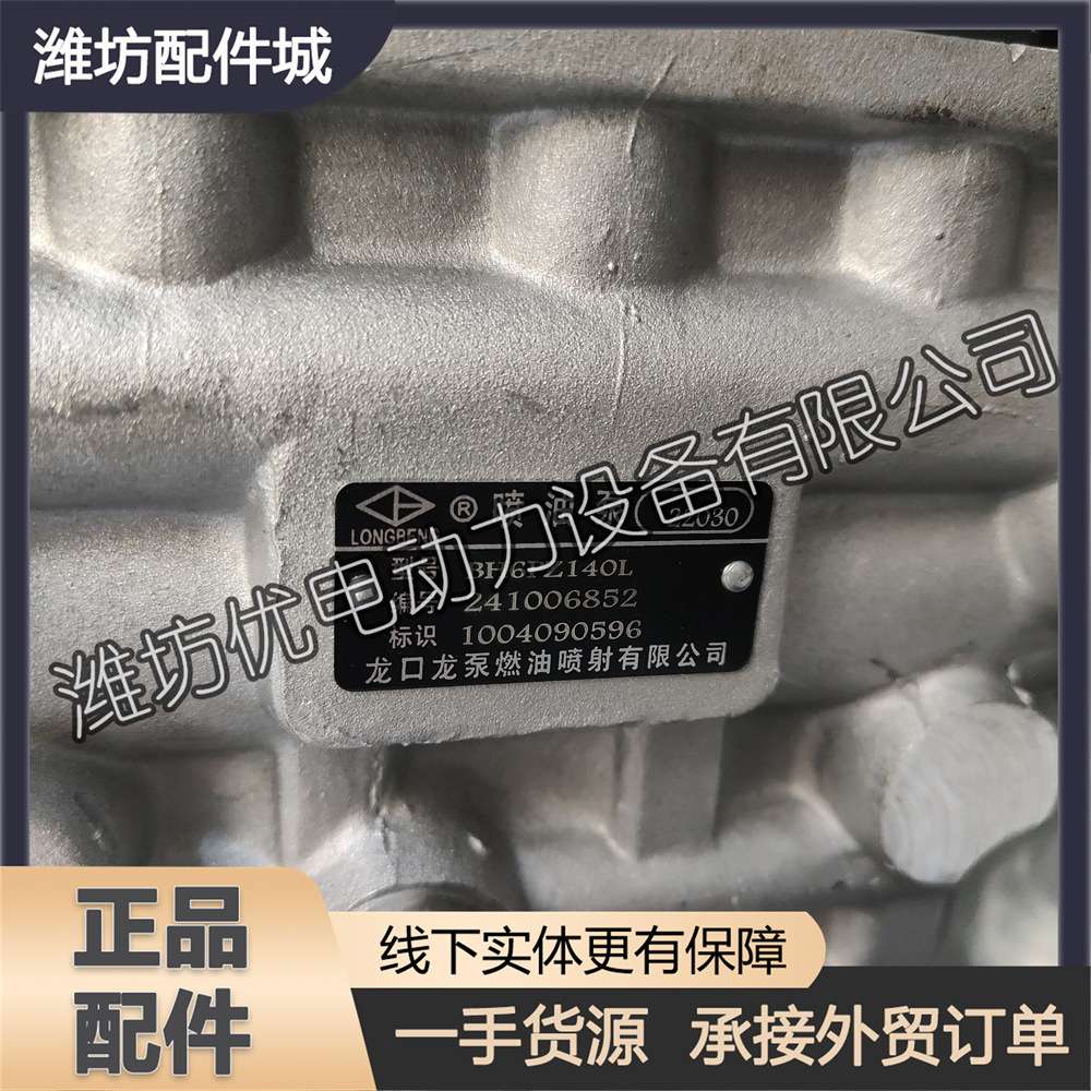 潍柴WP13发动机博杜安6M21柴油机1004090596喷油泵总成高压油泵