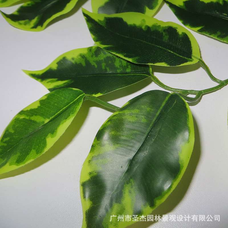 仿真榕树叶榕树枝 大型仿真树假树枝装饰仿真植物 仿真双色榕树叶