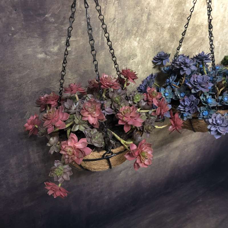 仿真绿植栽花吊兰植物花篮套装小叶芦荟盆栽阳台垂挂客厅吊兰装饰