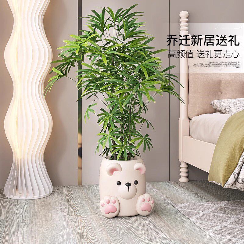 卡通熊奶油风花盆摆件家居饰品家用客厅玄关绿植花瓶乔迁新居礼品
