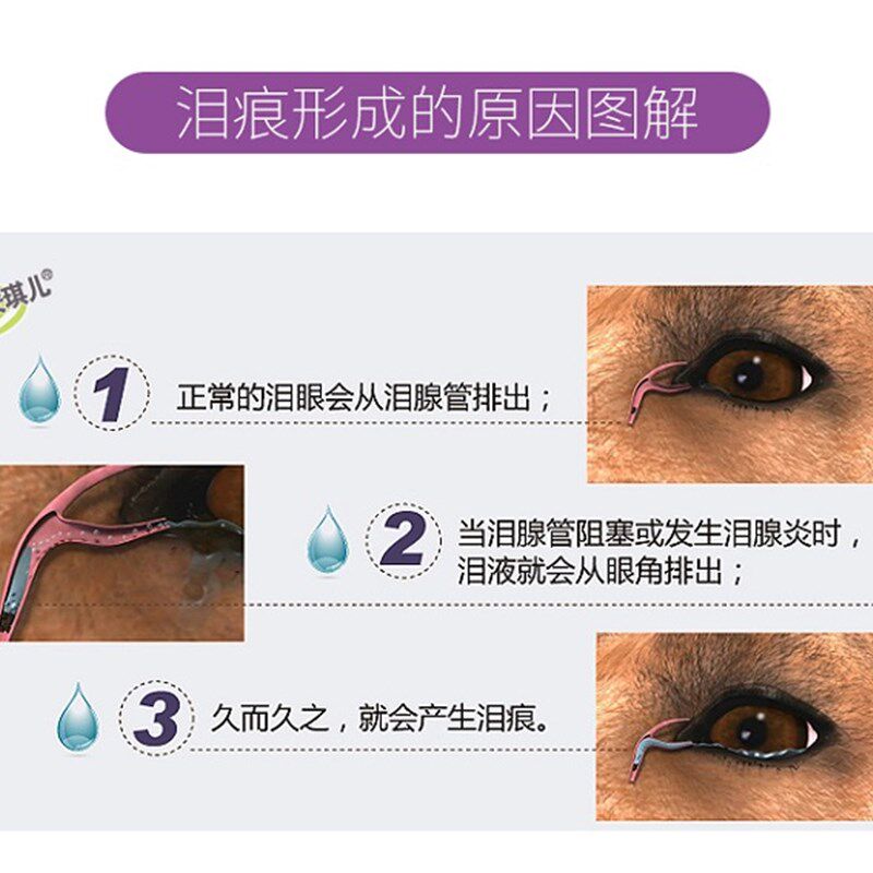 安琪儿泪痕消洗液疏通狗狗洗眼液水泪腺泰迪比熊金毛宠物泪痕