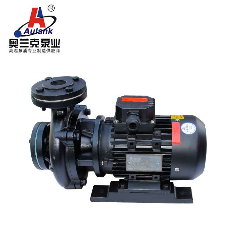 奥兰克RGZ系列体积小高温热油泵RGZ-10 aulank热水卧式循环泵