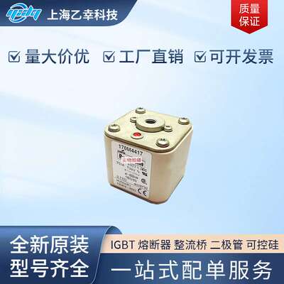 巴斯曼熔断器  170M4519 170M4531 170M4532 170M4533 170M4534