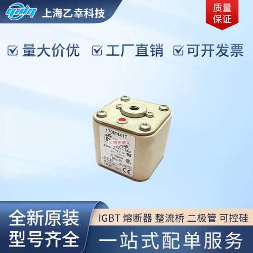 巴斯曼熔断器  170M4519 170M4531 170M4532 170M4533 170M4534