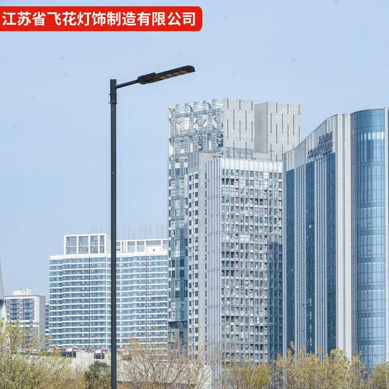 道路灯 LED路灯 新农村户外道路灯 路灯杆 小区庭院灯高杆灯