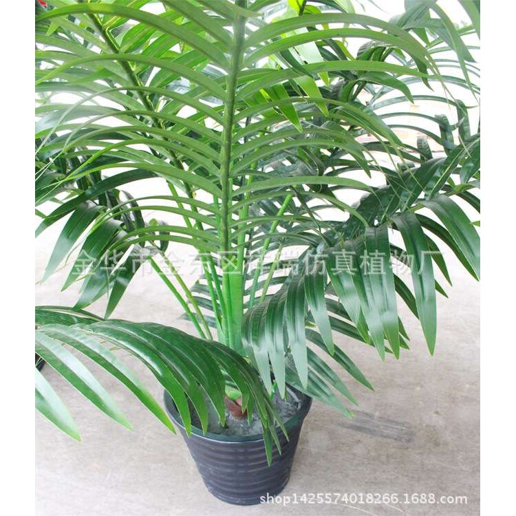 仿真棕榈叶植物1.8米散尾葵叶树过胶葵叶细葵叶落地盆景装饰