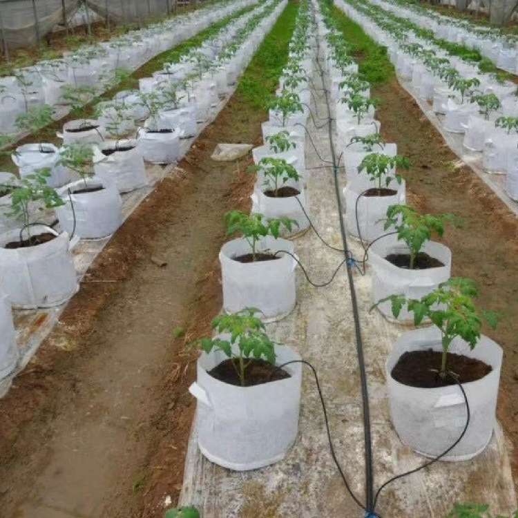 自动滴灌喷头盆栽苗圃大棚浇水工具滴箭地插式滴水工具智能浇花器