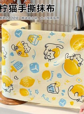 【下单立减50】青柠猫周抛干湿两用洗碗布百洁布家用懒人手撕布WZ