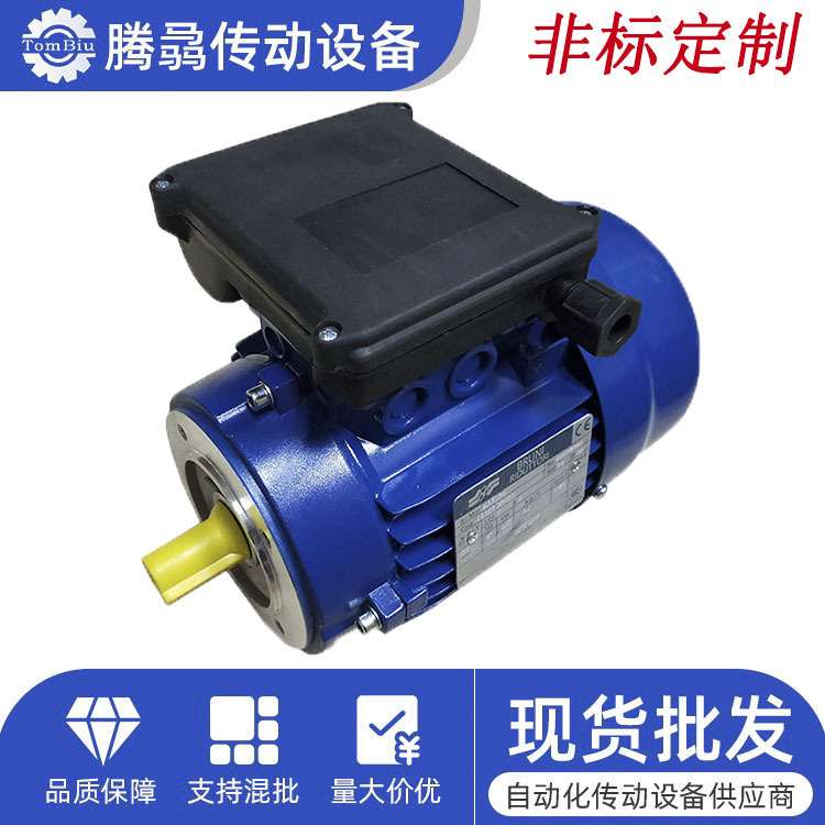 意大利布鲁尼BRUNI单相电容电机厂家直销0.09KW~~4KW