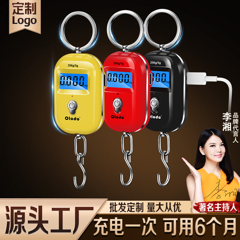 便携式手提电子秤高精度小型买菜勾称口袋随身携带迷你钩秤充电款图片