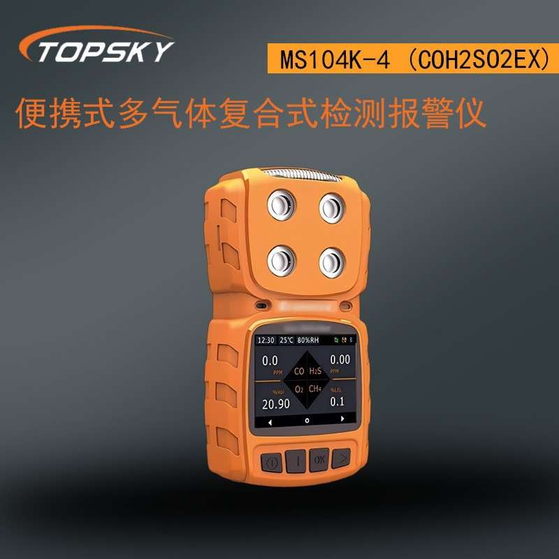 便携式多气体复合式检测报警仪 MS104K-4?(CO/H2S/O2/EX) t5