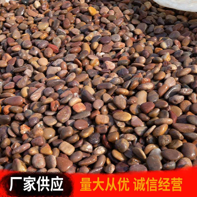 红色抛光鹅卵石 雨花石庭院铺路卵石鱼缸水池造景园林装饰石头