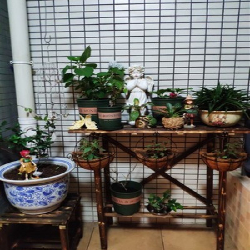 阳台多肉实木花架子简约层板碳化防腐木多功能隔板置物架新品包邮
