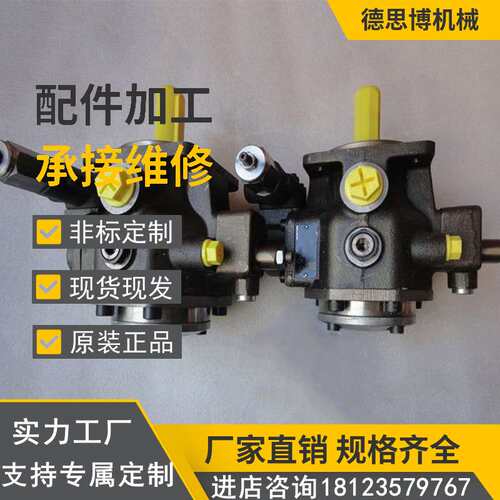 注塑机叶片泵PVV2-1X/040RB15DMBK57高压泵维修配件