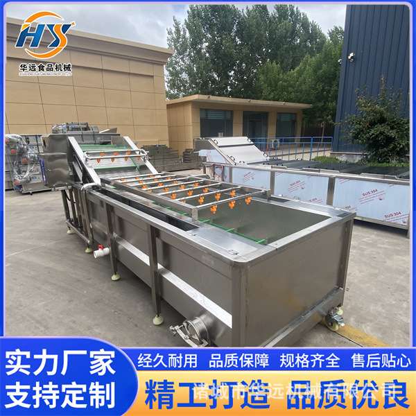 华远 毛豆加工设备 豌豆荚清洗机 板栗坚果气泡清洗设备 不锈钢
