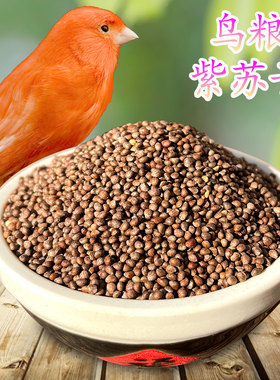 炫料鹦鹉粮紫苏子鸟粮玉鸟文鸟苏子籽金青百灵宠物零食喂鸟粮食