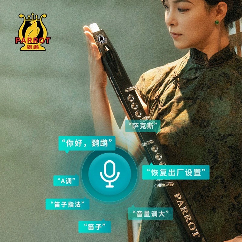 鹦鹉电吹管2024新品电吹管乐器初学葫芦丝萨克斯笛子中老年练习