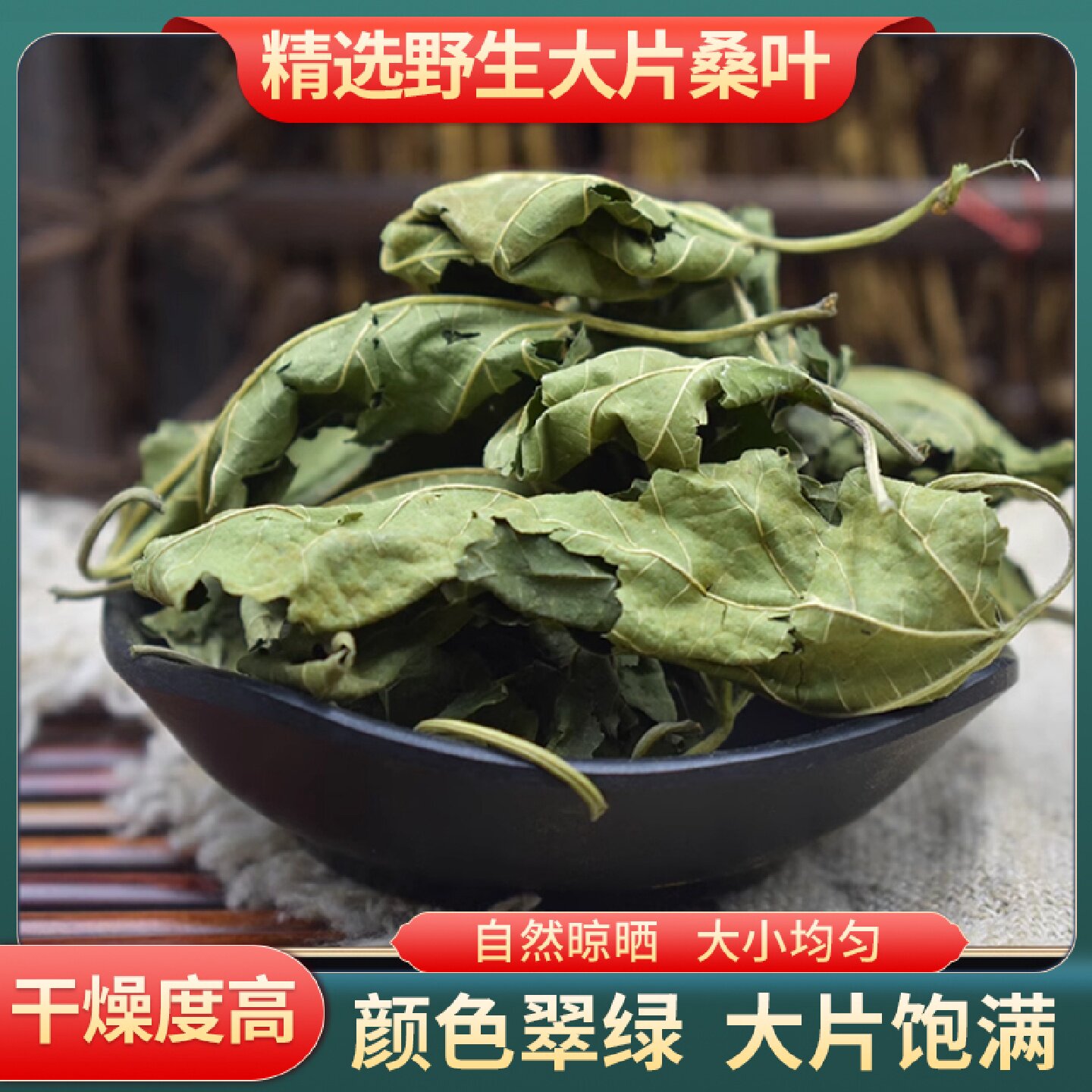 桑叶中药材正品新鲜霜桑树叶干双瓜打霜降秋后桑叶茶的功效与旗舰