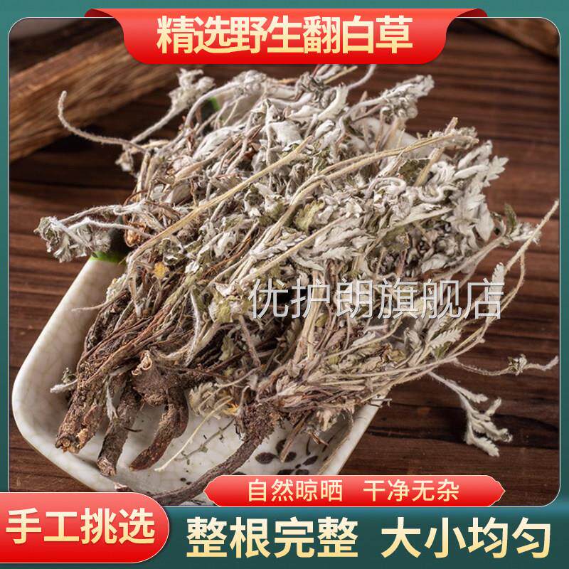 翻白草中药材正品500g货野生翻白草整颗带根全株全草番白草新无硫