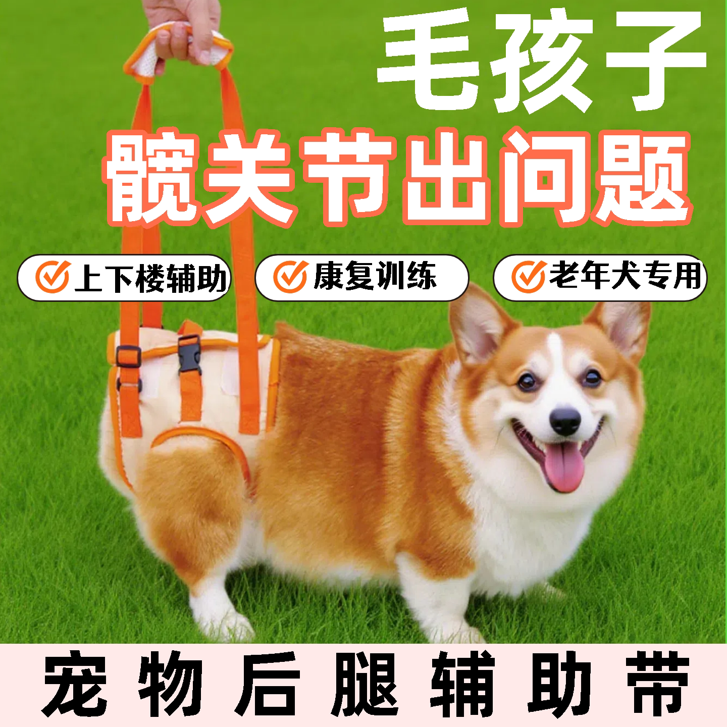 瘫痪后腿髋关节高龄犬后脚背带宠物背带牵引绳老年带狗行走助旗舰