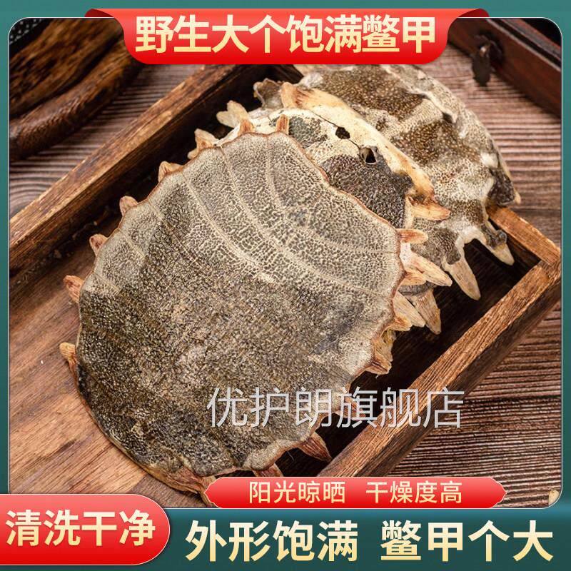 鳖甲中药材正品整个鳖甲甲鱼壳鳖盖生子鳖壳鳖甲鳖甲壳鳖甲原材料
