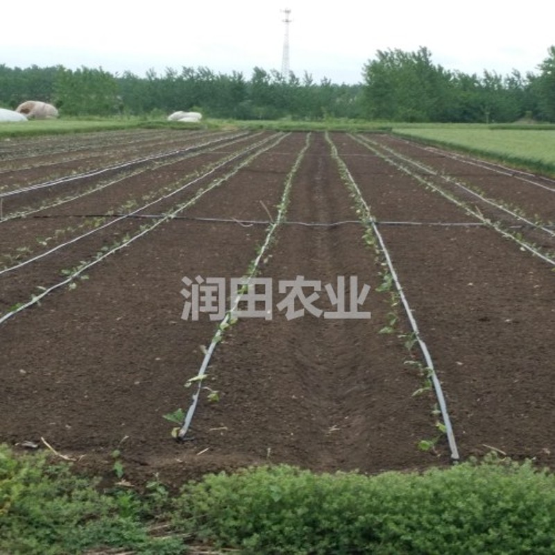 2.5寸9孔喷灌带 滴灌带 微喷带喷水管2.5寸主管 喷雾软管农用灌溉