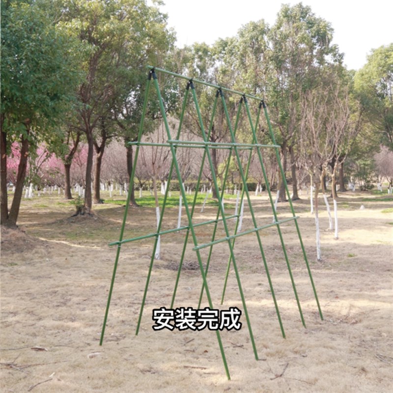 爬藤架搭四季豆角葡萄黄瓜架花架支撑架杆铁线莲庭院户外楼顶种菜图片