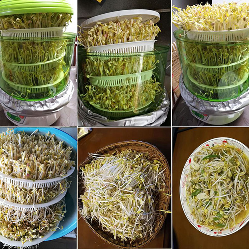 康丽豆芽机家用全自动智能小型生豆芽发芽神器罐芽菜桶豆芽机盆桶