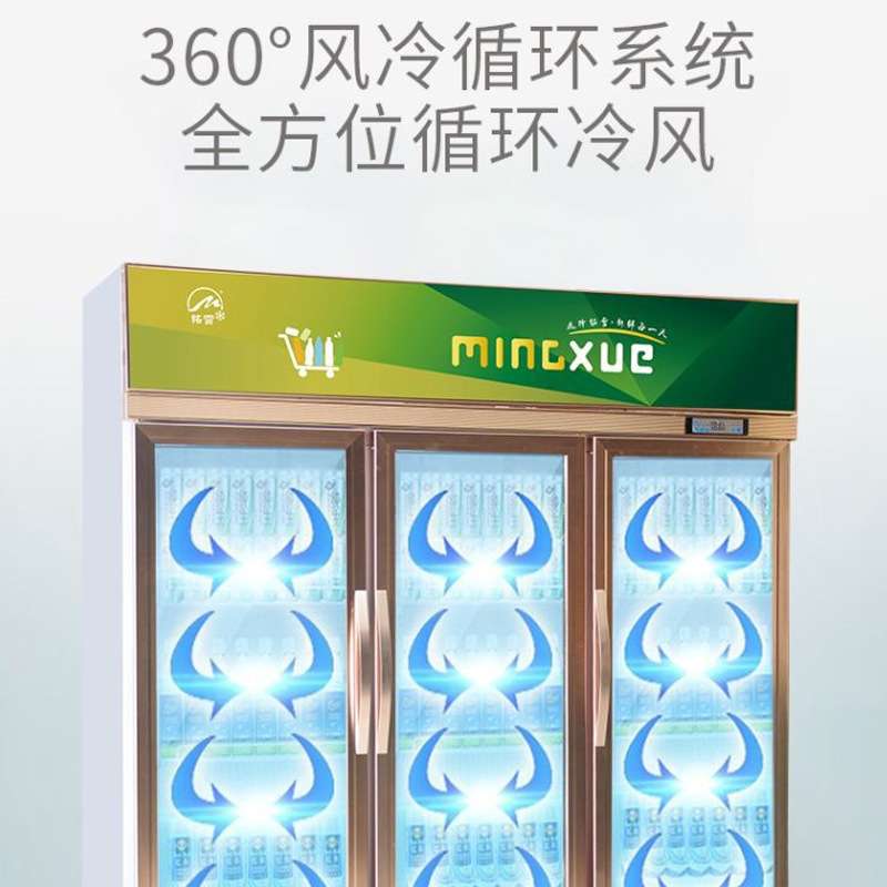 铭雪风冷饮料柜展示柜鲜花保鲜柜超市酒店商用冷饮啤酒柜鲜奶冰柜