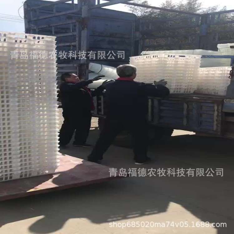 塑料鸡鸭运输笼 装鸡塑料筐鸡用运输筐 加大加厚塑料鸡筐源头厂家