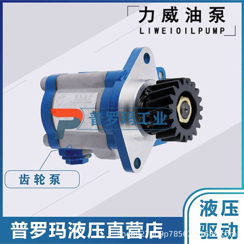 合肥力威转向泵1032300011中联重科浦沅吊车液压助力泵QC32/13-ST
