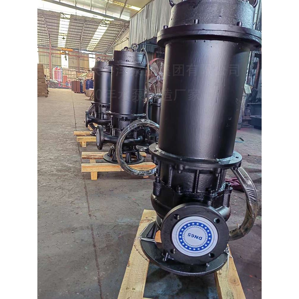 太平洋泵业100QW100-15污水泵潜水排污泵无堵塞地下室专用提升泵