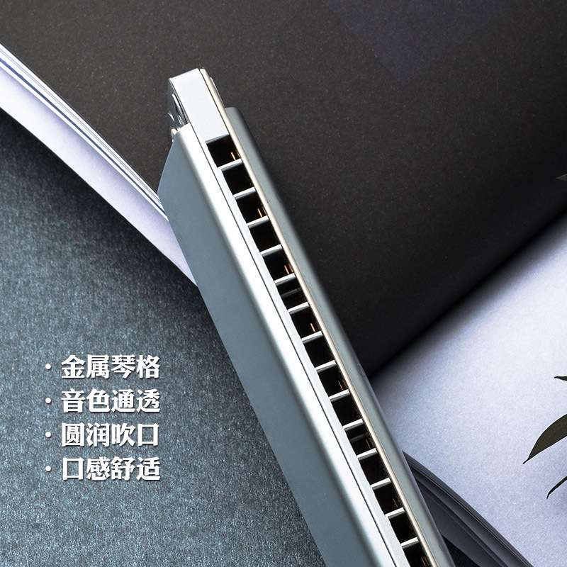 孔声24孔单孔ABCDEFG#调口琴琴格乐器24孔口琴不锈钢C单音演奏型