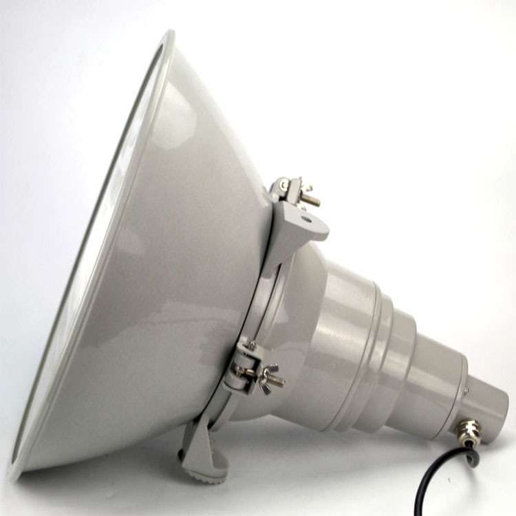 ZY8310-J400超强抗震型投光灯 大型厂房栈桥工业三防灯金卤灯250W