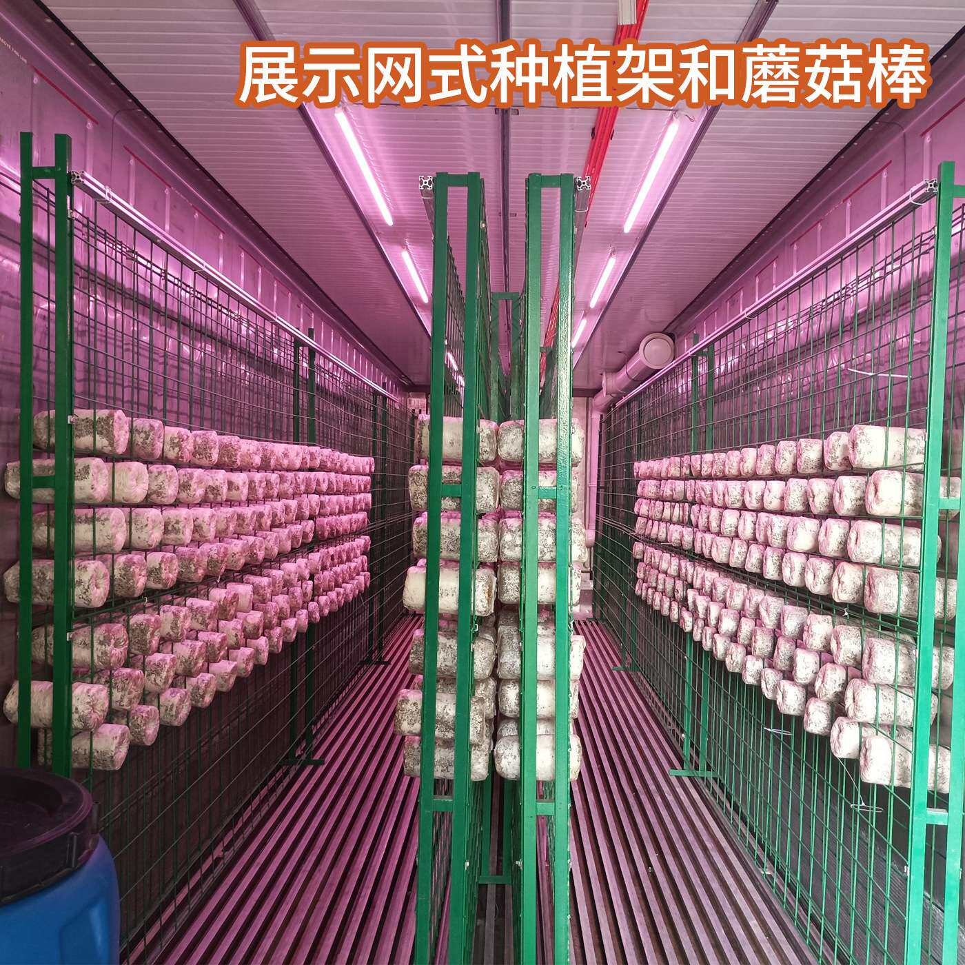 20ft40ft集装箱菌菇种植箱平菇专用自动控制植物方仓