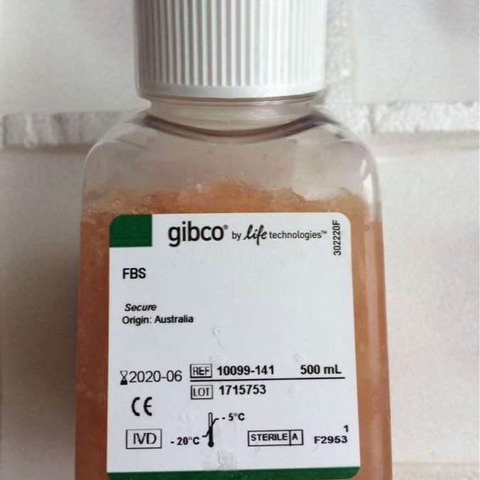 THERMO赛默飞Halt蛋白酶和磷酸酶抑制剂单次使用混合物78443