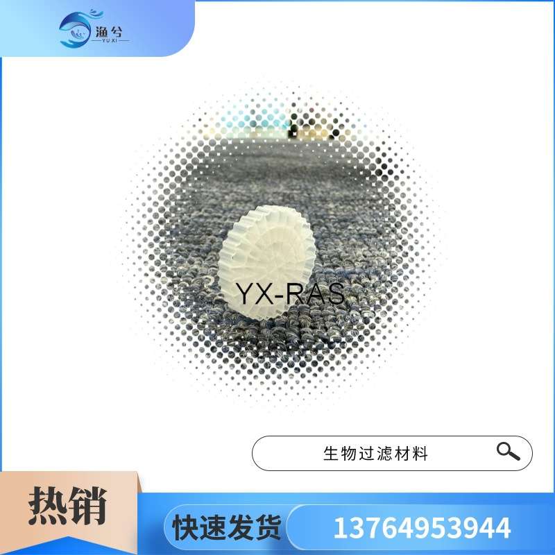 悬浮mbbr流化床 挂膜载体生物流化床填料 塑料空心净水mbbr滤材