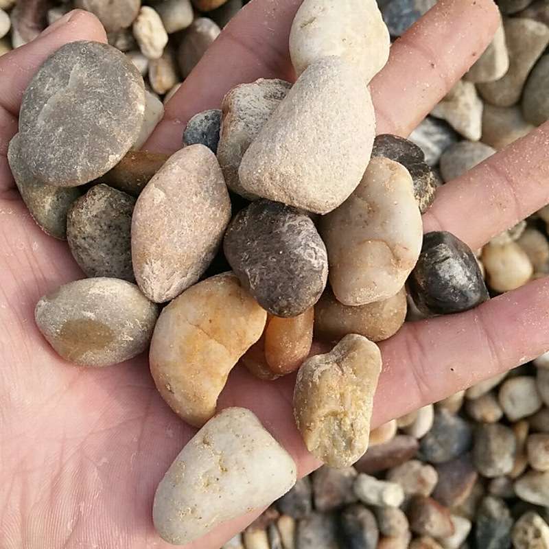 地暖石豆石家装装修小石子滤料石水洗石耐高温汗蒸鹅卵石专用砂石 - 实物图