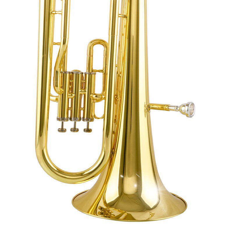 卡尔沃斯立键上低音号JK1160降B调上低音号