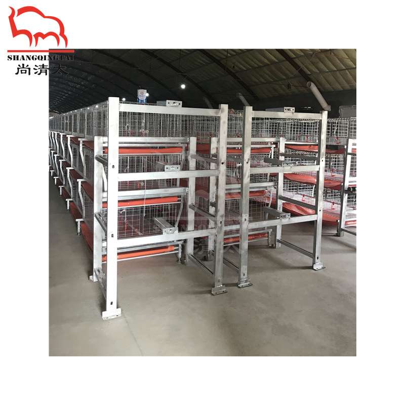 元宝肉鸡笼 肉鸡饲喂笼具 养鸡笼子 鸡用成长笼 畜牧养殖设备
