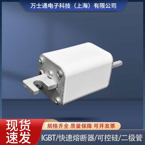 熔断器170M4138/4139/4140/4141/4142/414/4144/4145/4146/4147
