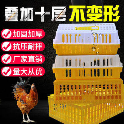 鸡笼周转箱塑料加厚鸡鸭鹅家禽运输笼子塑料加厚大号成鸡鸭周转笼