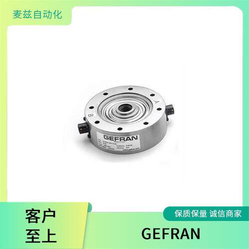杰佛伦GEFRANGFX4-60-R-1-F-E4控制器LM-L-A-08000000X000X