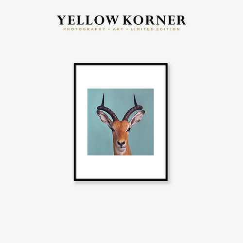 YELLOW KORNER法国原装进口《Green Impala》客厅复古潮流艺术画