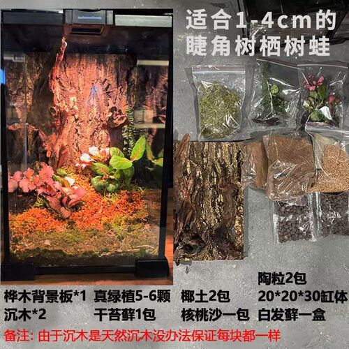 BG树栖树蛙睫角爬宠饲养箱玻璃生态雨林造景缸蛇蜘蛛寄居蟹饲养盒