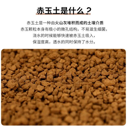 赤玉土垫材爬宠睫角蜥蜴蓝舌守宫角蛙爬虫饲养箱垫料保湿底材泥