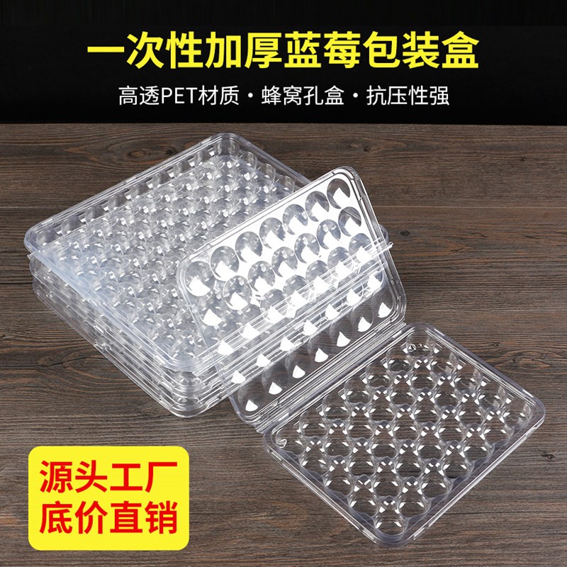 蜂窝蓝莓盒一次性打包盒35粒蓝莓包装盒透明加厚水果塑料盒高档