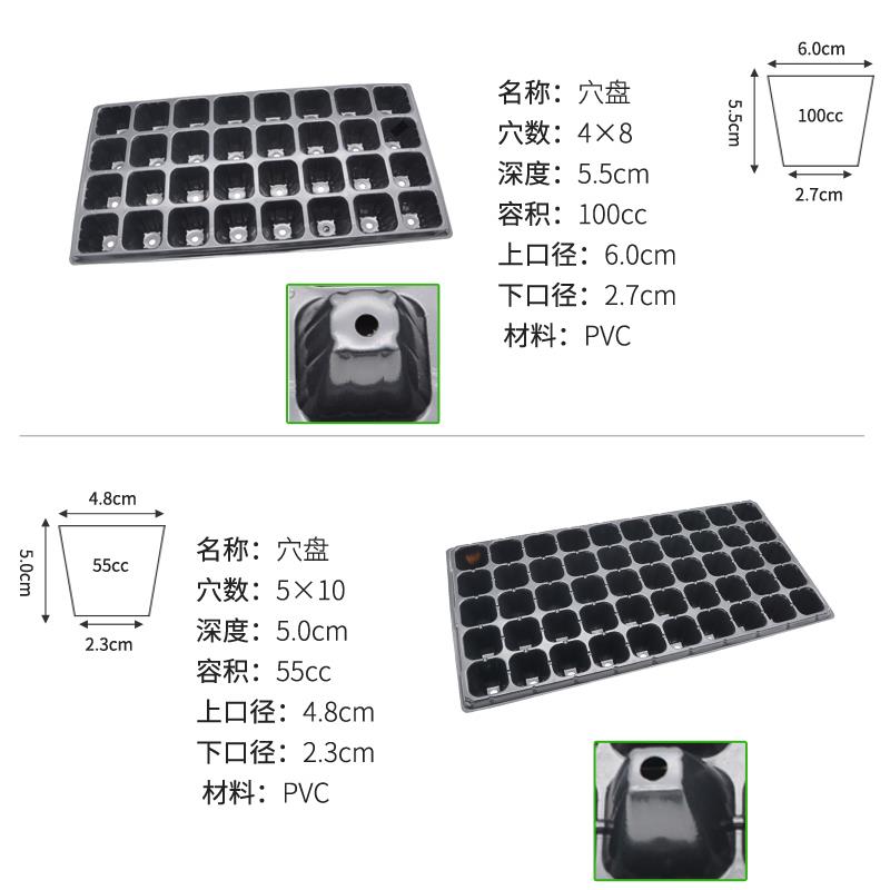 育苗穴盘培育盆种植加厚pvc塑料秧盘营养钵托盘扦插育种多肉专用